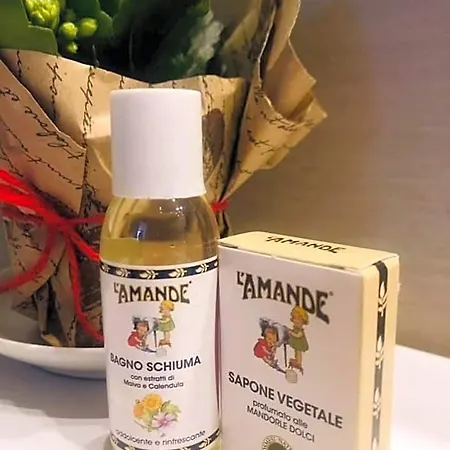 茱莉艾塔玛别墅酒店 酒店 Fiesso dʼArtico