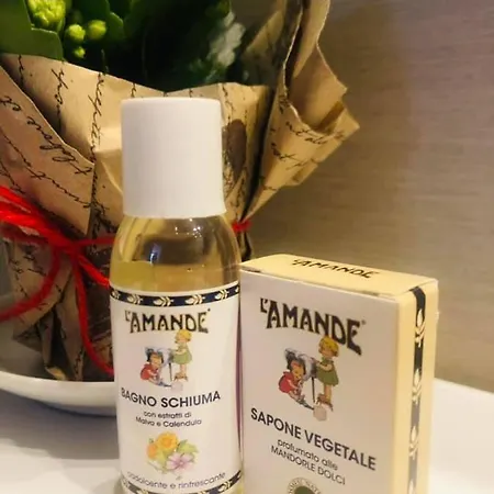 茱莉艾塔玛别墅酒店 酒店 威尼斯